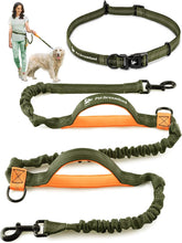 Pet Dreamland hands-free leash with belt clip keeps you close during walks