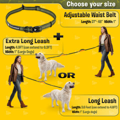Pet Dreamland hands-free leash with reflective strips for night safety