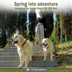 Pet Dreamland Exquisite tangle-free swivel keeps two dogs moving smoothly