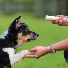 Pet Factory beefhide chews produced in a GFSI-certified facility for quality.