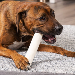 Pet Factory beefhide knotted bone close-up shows thick natural chew.