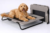 Pet Gear Lifestyle elevated bed pet cot for cool outdoor comfort.