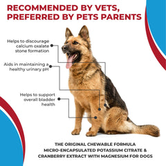Pet Health Pharma tablets on dog food to illustrate easy administration