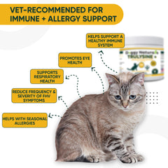 Cat enjoying Trulysine Plus chicken liver flavor.