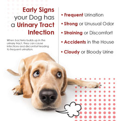 Pet Health Solutions tablets shown with a dog and cat for urinary health support.