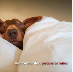 Pet Health Solutions TranQuil-Tabs 60-chewables-pack shows a full bottle for ongoing relief.