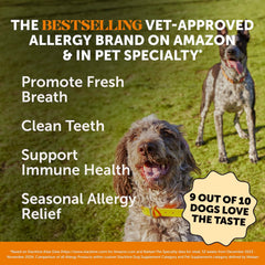 Pet Honesty Allergy Support Fresh Dental Sticks being chewed by a dog—promotes fresh breath.