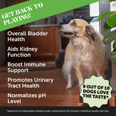 Pet Honesty Bladder Health Cranberry chews close-up with bite-sized treats and flavor