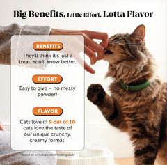 Pet Honesty cat hip joint chews flavor close-up showing tasty treat.
