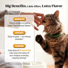 Pet Honesty Cat Immune Support Lysine crunchy chicken-flavor treats appeal to picky eaters.