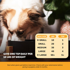 Pet Honesty product dosing spoon ready for convenient daily use