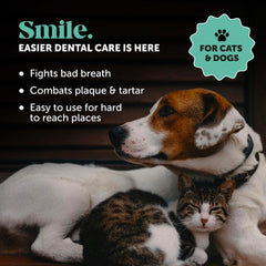 Pet Honesty dog dental finger wipes textured side for gentle plaque removal.