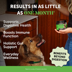 Pet Honesty dog probiotics chews close-up — tasty daily gut health support