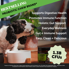 Pet Honesty dog supplement scoop showcasing powder texture for easy daily dosing.