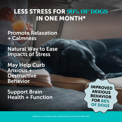 Pet Honesty duck-flavored calming chews ease anxiety during car rides