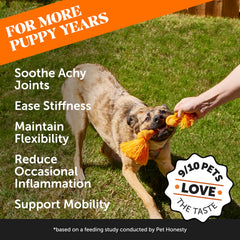 Pet Honesty hemp chews close-up highlighting tasty joint support.