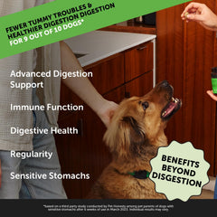 Pet Honesty Max Strength probiotic chews closeup highlighting chicken flavor dogs love.