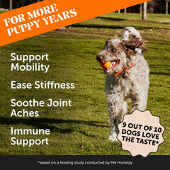 Pet Honesty omega-3 fish oil dog supplement—supports coat and joint health.