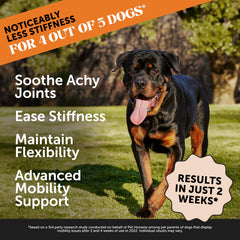 Pet Honesty soft-chews bacon-flavor provide tasty daily joint support for dogs.