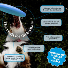 Pet Honesty Wild Alaskan Salmon Oil on pet dish promotes flavor and daily supplementation.