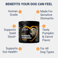 Pet Life Maximizer multi-strain probiotics for dogs promote healthy gut flora
