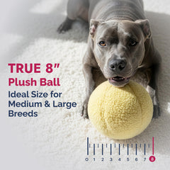 Pet Lou oversized plush toy designed for medium and large dogs to hold easily