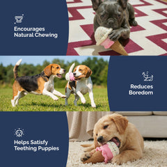 Pet Lou Ice Cream design sparks curiosity and interactive cuddling.