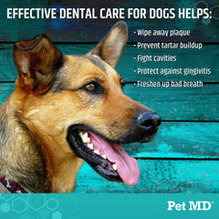 Pet MD dog teeth and gums wipe application demonstrating simple daily dental care