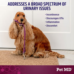 Pet MD Bladder Support Plus Cranberry for dogs aiding bladder control and daily comfort
