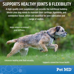 Pet MD joint-support image highlights hip comfort for dogs of all ages.