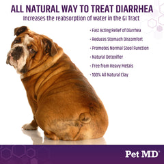 Dog food dish with Stool-Fix sprinkled over meals for GI comfort.