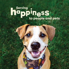 Pet 'n Shape beef bone pack, all-natural, no artificial additives or colors