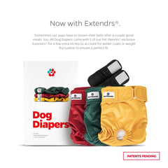 Extendrs extension strap shown for a secure, flexible fit with pets.