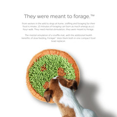 Pet Parents Forager Bowl travel pocket demonstrated for trips