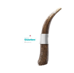 Pet Parents Gnawtlers large elk antler chew for dogs showing size and durability.