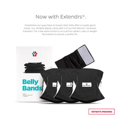 Pet Parents 3-pack belly bands in soft materials for daily use