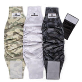 Pet Parents washable belly band medium on a male dog, secure and comfortable fit.