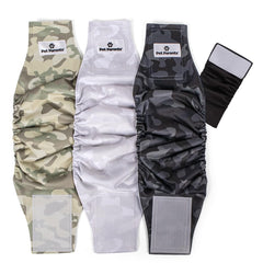 Pet Parents washable belly band medium on a male dog, secure and comfortable fit.