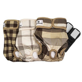 Pet Parents Washable Dog Diapers 3-Pack on display, reusable and economical.
