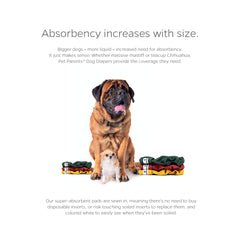 WickQuick absorbent layer keeps surfaces dry and paws comfortable.