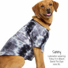 Pet Passion Toby II black sand tie-dye tee worn by dog for everyday comfort.
