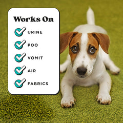 Pet-Pourri Pawsitively Fresh pet bedding spray neutralizes odors from bedding and carriers.