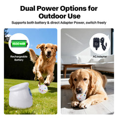 Pet Prime ETPU balls lightweight and bite-resistant for safe play.