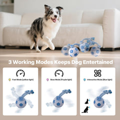 Pet Prime self-moving ball recharges quickly for extended play sessions.