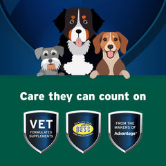 Pet Protect Probiotic Balance+ gel given during meals.