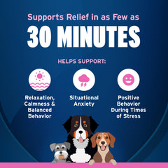 Pet Protect Tranquilify vet-formulated blend highlights calming ingredients for dogs