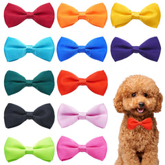 PET SHOW 12-colors collar bowties pack adds charm during daily walks