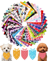 PET SHOW paw-pattern bandana bulk pack on a small dog for stylish grooming.