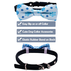 PET SHOW paw pattern bow tie in blue adds playful charm for outdoor walks and parties.