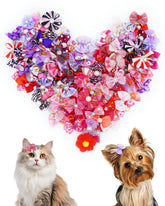 PET SHOW pink dog bow on ribbon enhances daily walks